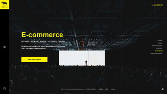 上海犀躍設計公司品牌形象網站建設